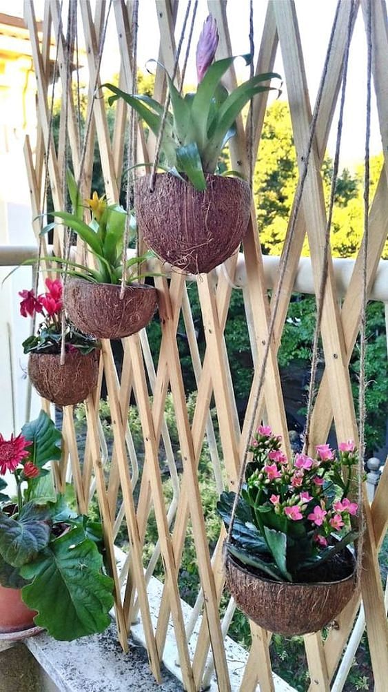 Hanging planters from coconut shell