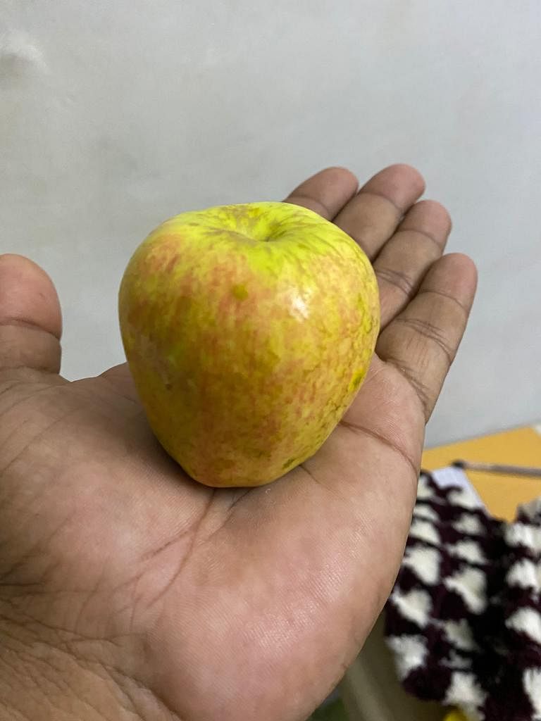Shantilal with Apple