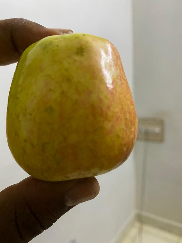 Shantilal showing his apple