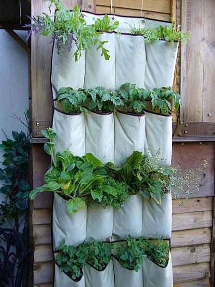 Vertical-gardening
