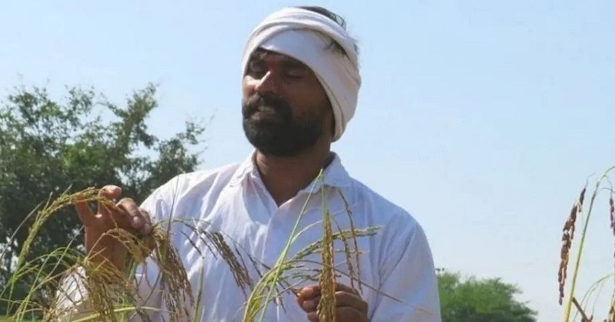 Magic Rice By Telangana Farmer Which Can Be Read Without Cooking