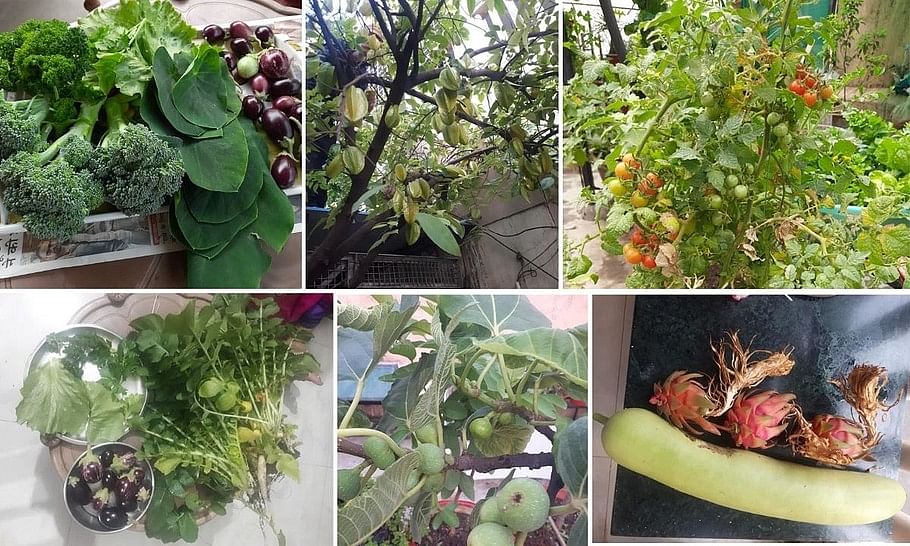 Home grown vegetables