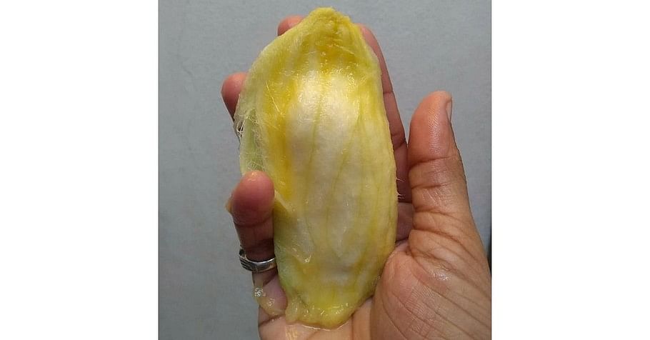 Mango  seed