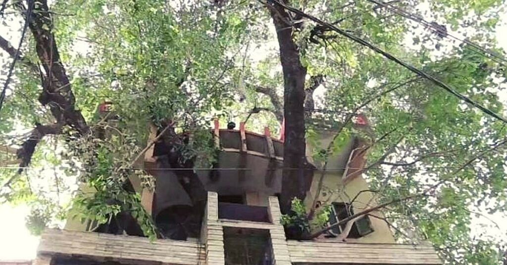 House in tree