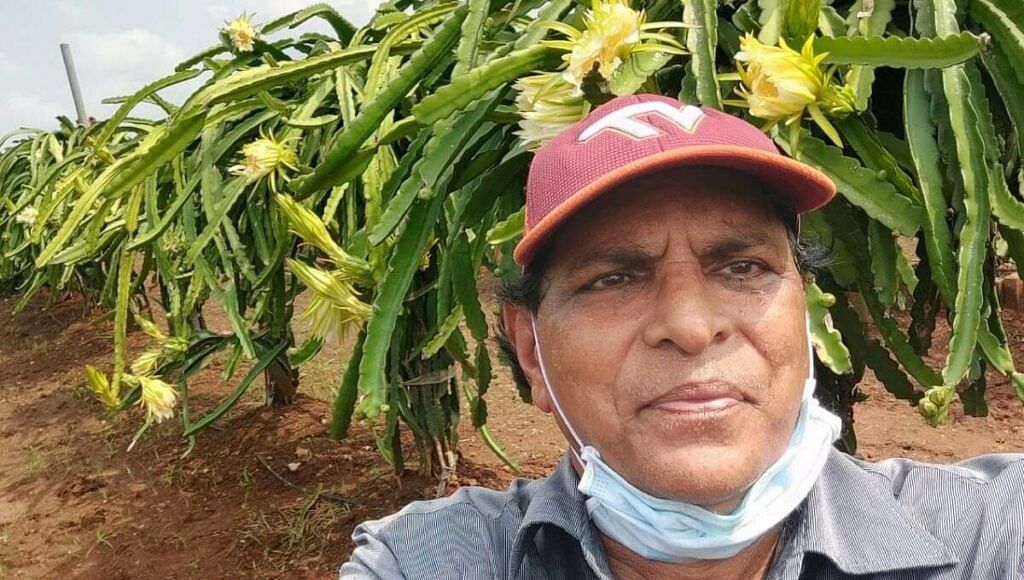 Jaswant Patel Dragon Fruit Cultivator