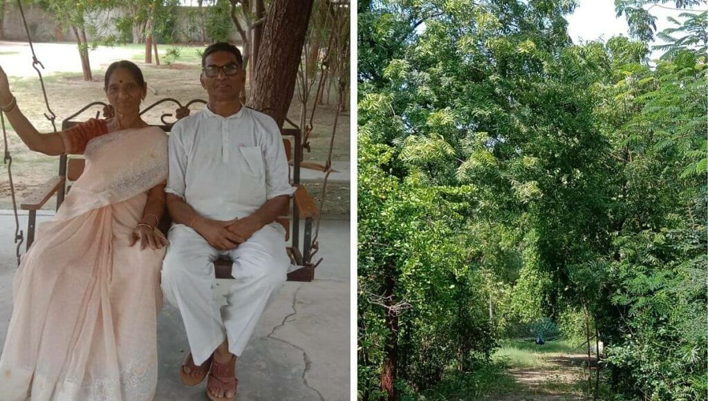 Tree Plantation By Retired Teacher Couple
