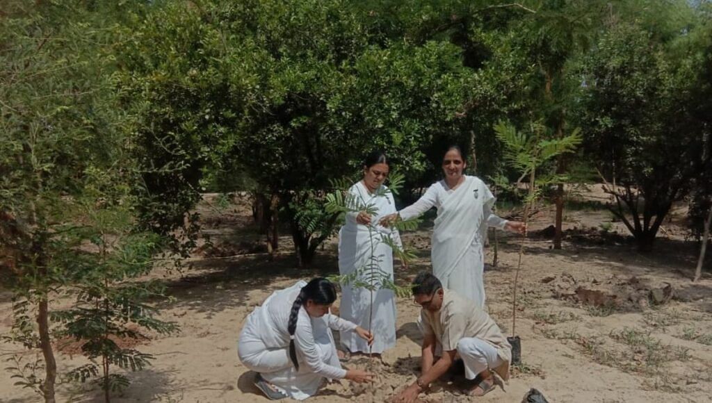 Tree Plantation And Nature Conservation