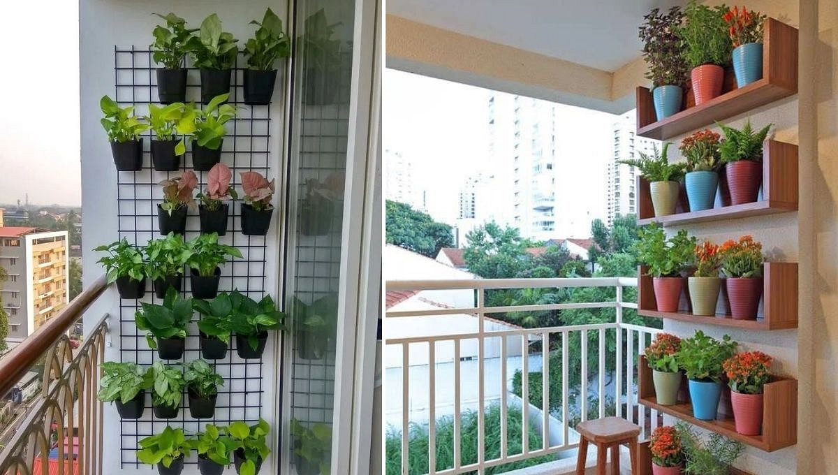 Vertical Garden Ideas Affordable Small Budget Gardening Expert Tips