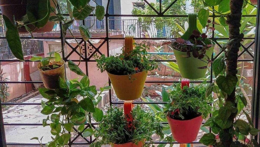 Cheap Vertical Garden