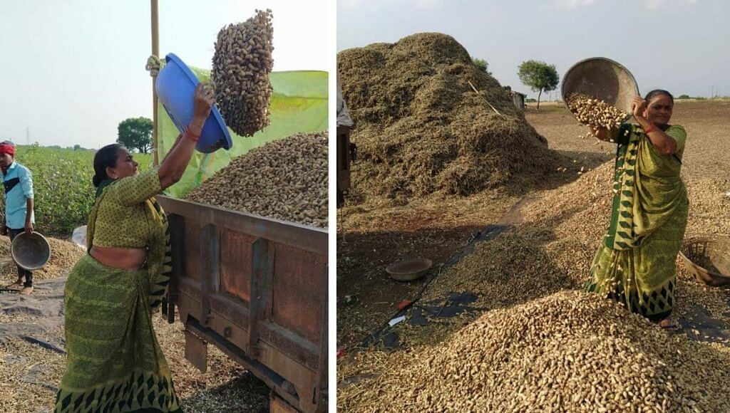 Organic Farmers In Gujarat