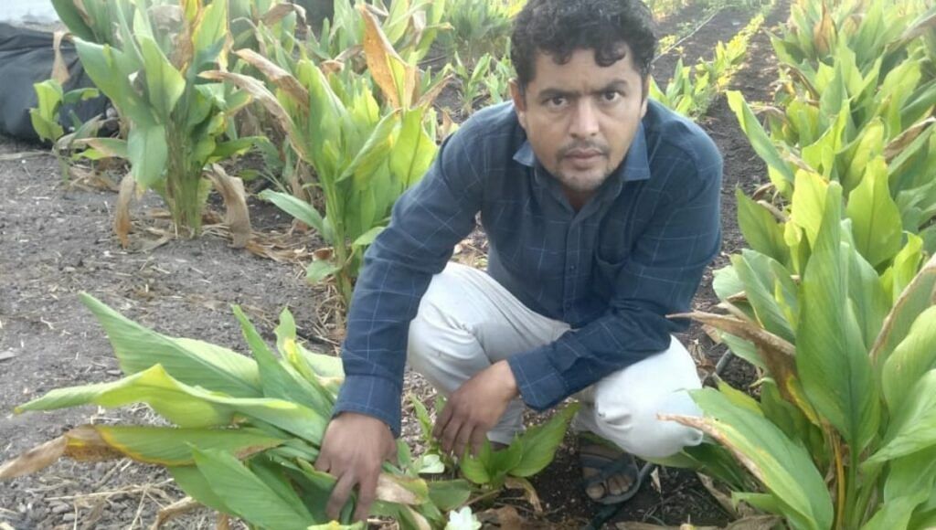 Organic Farming In Gujarat