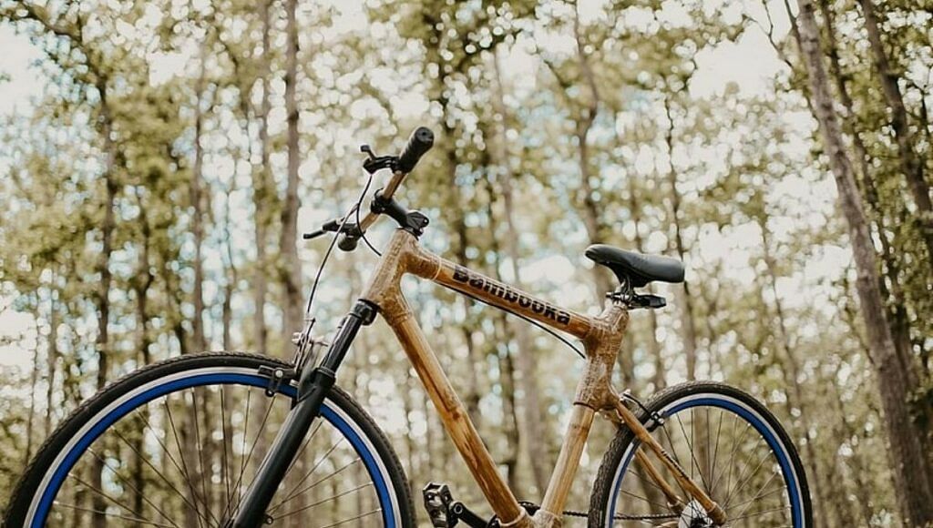 Bamboo Cycle