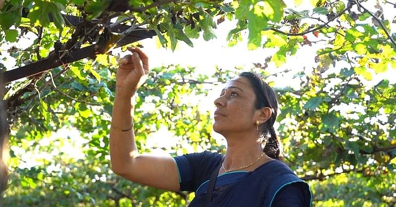 Woman Farmer Sangeeta  Pingley