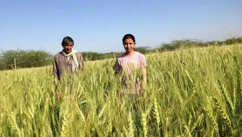 Rajasthan Woman Farmer Ankita