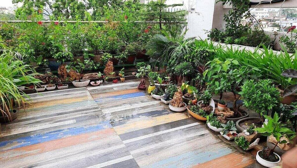 Terrace Gardening